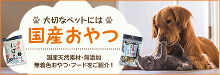 banner08.jpg
