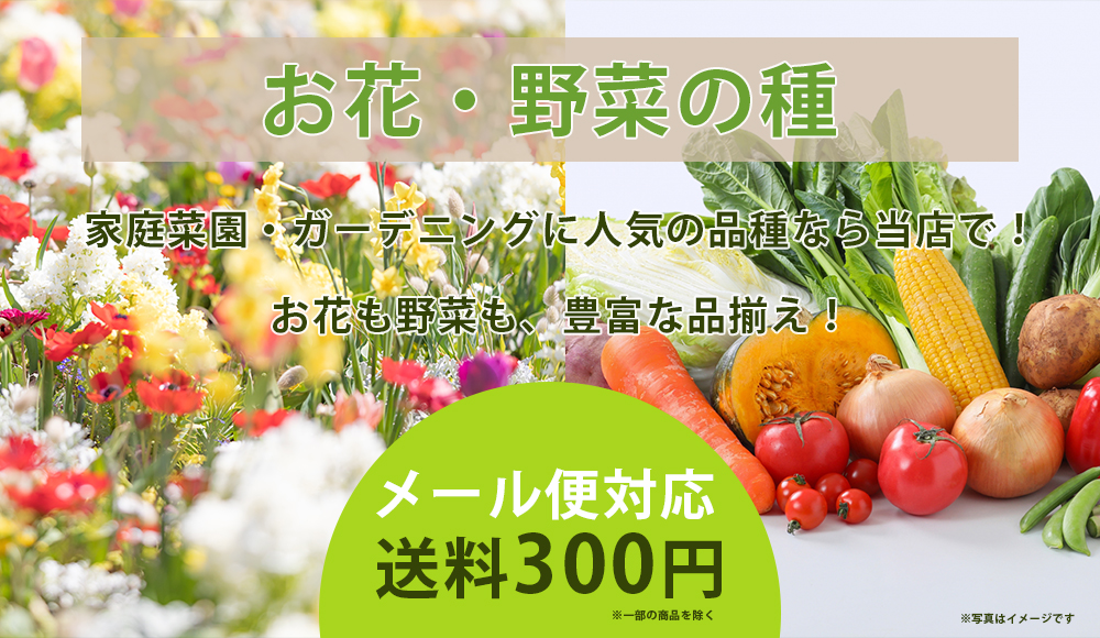 西村ジョイオンラインショップejoy ホームセンターの通販 Ejoy イージョイ